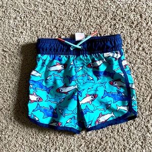 Toddler Boy 18M Swim Trunks